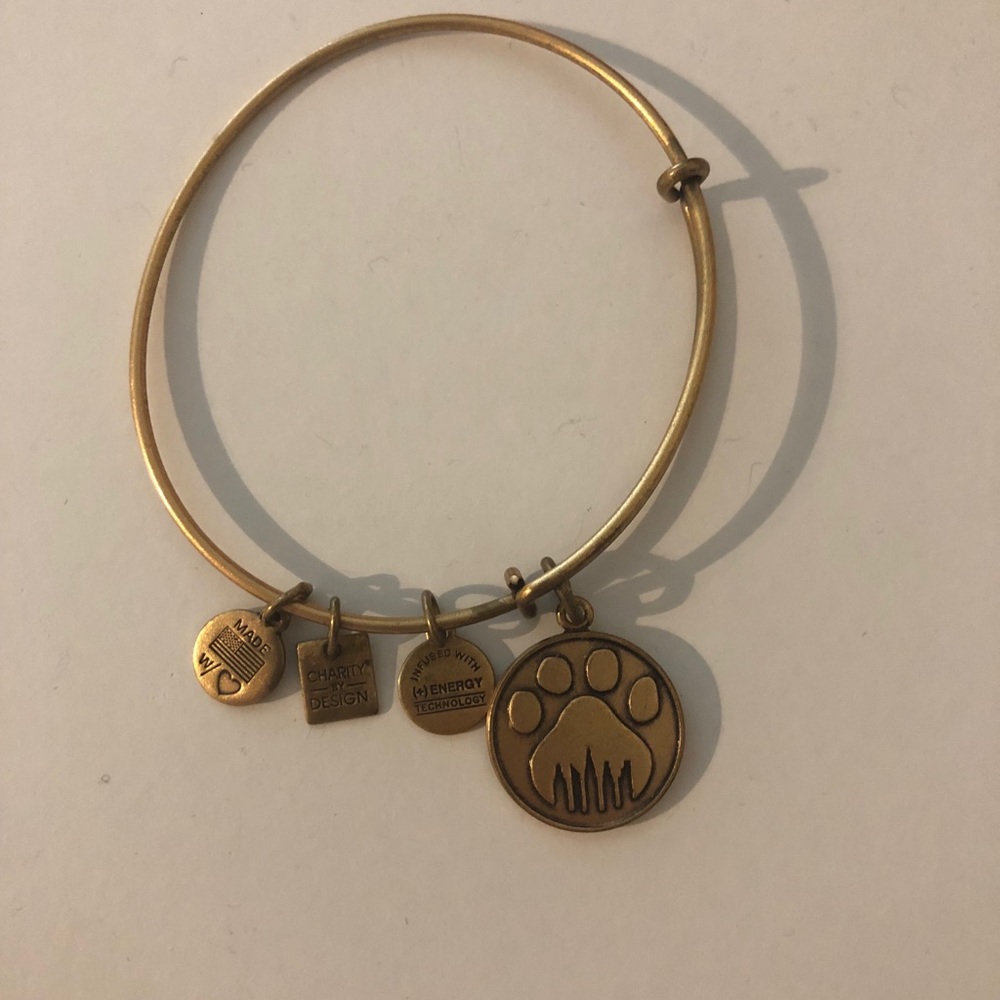 Dog paw Alex and Ani bracelet
